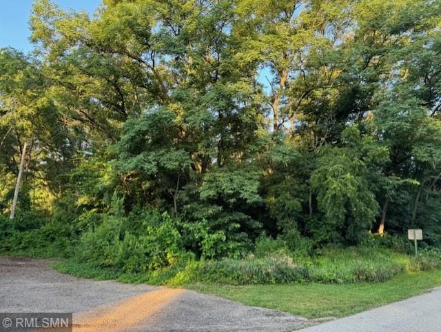 & Elm St, Pepin WI, 54759 land for sale