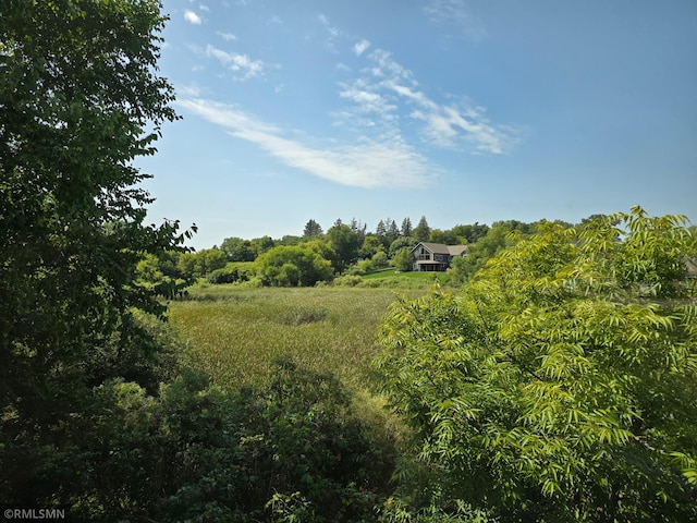 view of local wilderness