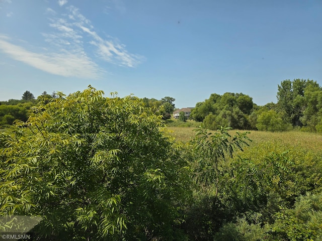 view of local wilderness