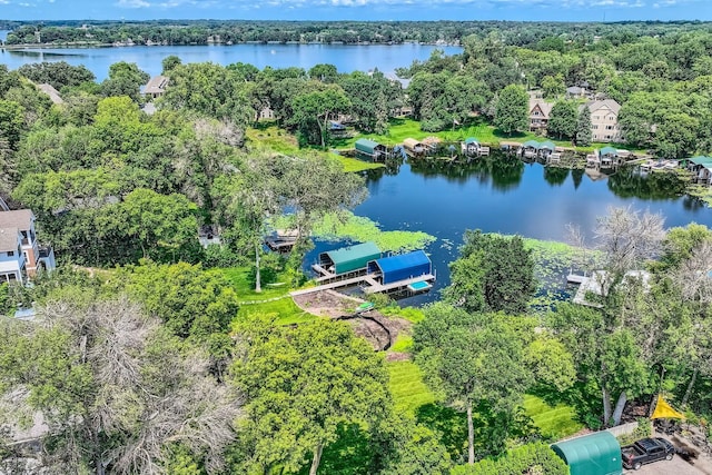 aerial view with a water view and a view of trees