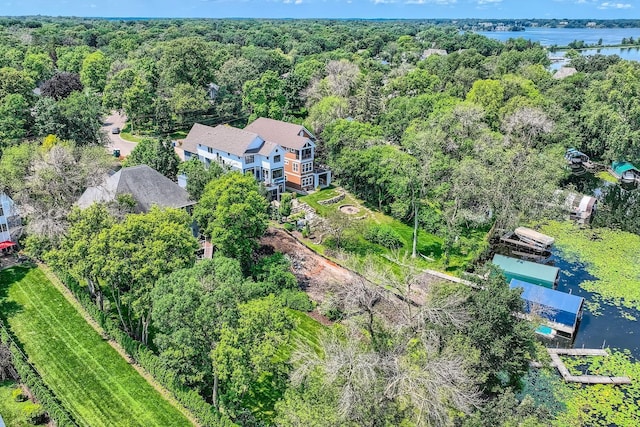 aerial view with a water view and a view of trees