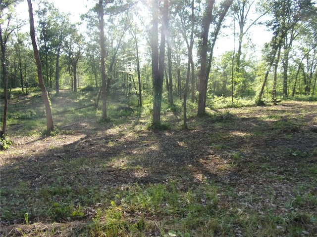 Listing photo 2 for LOT1 N Lake Dr, Mora MN 55051