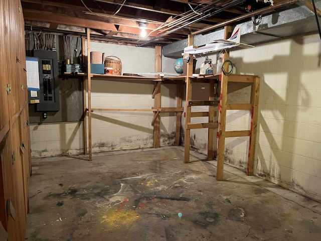 basement with electric panel