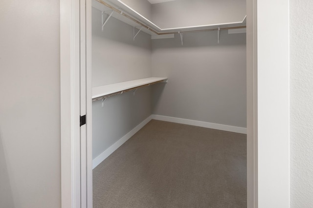 spacious closet with carpet