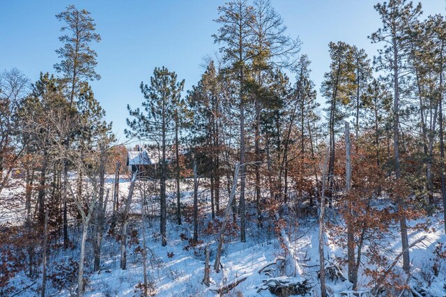 view of snowy landscape