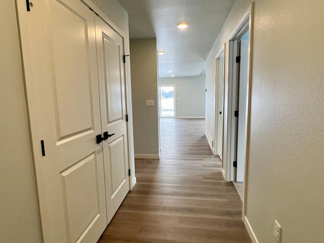 hallway featuring wood-type flooring