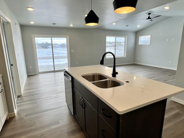 kitchen featuring a kitchen island with sink, a wealth of natural light, and sink