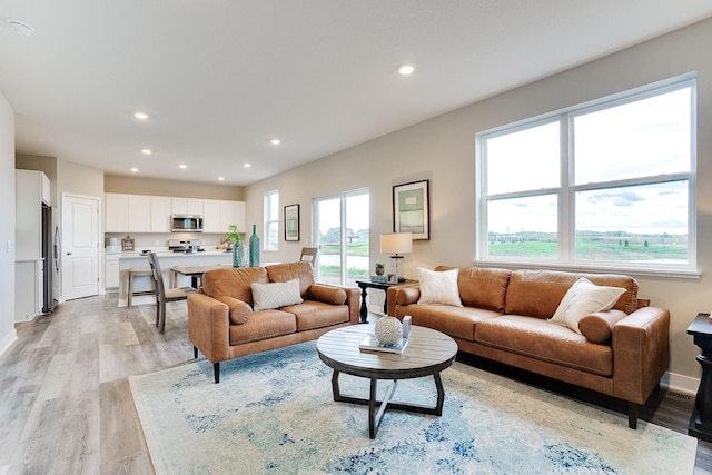 living room with light hardwood / wood-style floors and a wealth of natural light