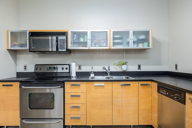 kitchen featuring stainless steel appliances and sink