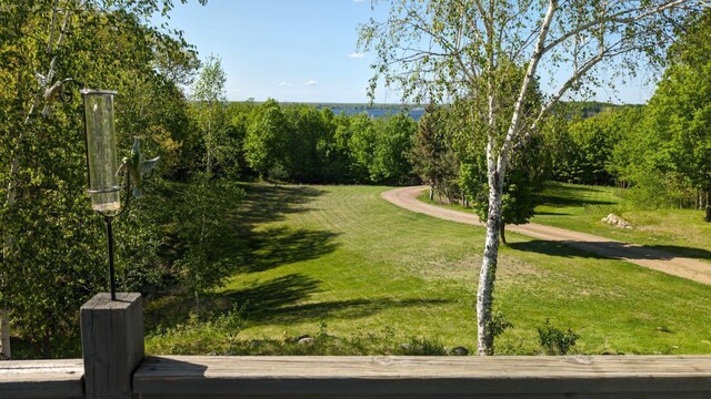 view of community with a yard