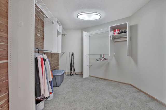 10834 178th Cir NW, Elk River, MN 55330 - walk in closet with carpet flooring