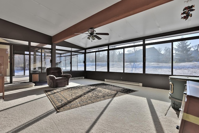 10834 178th Cir NW, Elk River, MN 55330 - sunroom with a baseboard heating unit, carpet floors, plenty of natural light, and a baseboard radiator