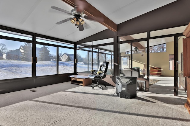 10834 178th Cir NW, Elk River, MN 55330 - sunroom / solarium featuring ceiling fan, carpet floors, and healthy amount of natural light