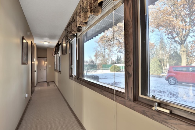 10834 178th Cir NW, Elk River, MN 55330 - hallway with baseboards and light colored carpet