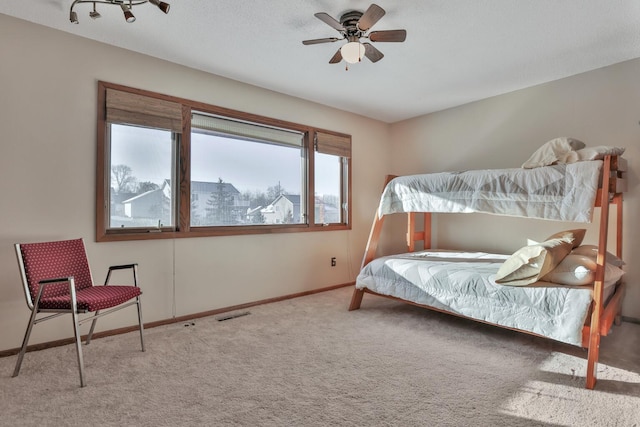 10834 178th Cir NW, Elk River, MN 55330 - carpeted bedroom with baseboards