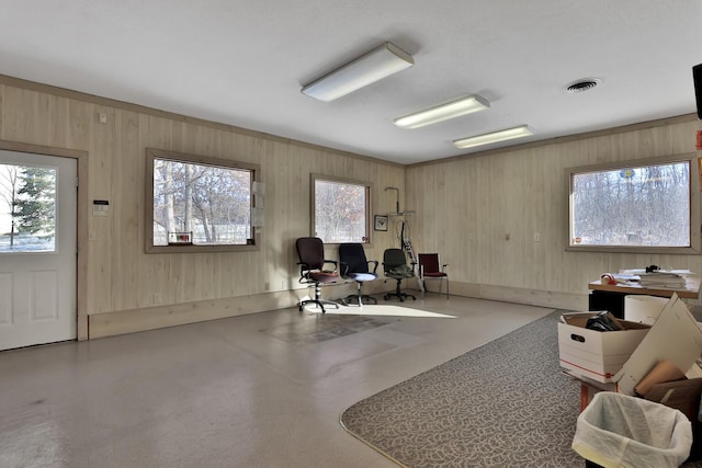 10834 178th Cir NW, Elk River, MN 55330 - living area with wooden walls