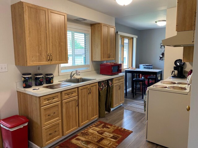 kitchen featuring sink, hardwood / wood-style flooring, and black appliances