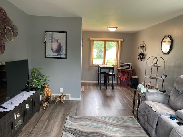 living room featuring wood-type flooring