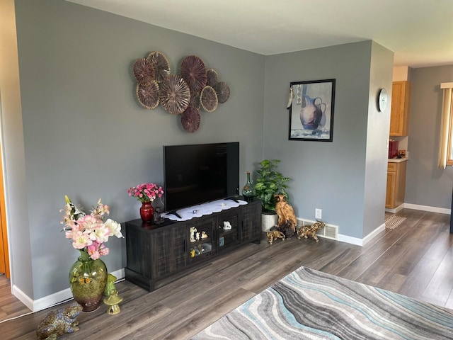 living room featuring hardwood / wood-style floors