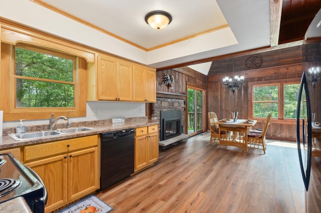 kitchen with black dishwasher, wooden walls, and a healthy amount of sunlight