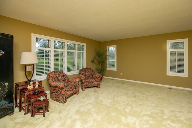 sitting room featuring carpet flooring and a textured ceiling