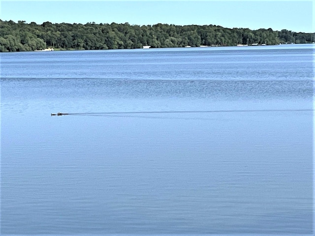 view of water feature