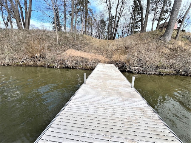 10007 Alcott Dr, Sauk Centre, MN 56378 - photo 9