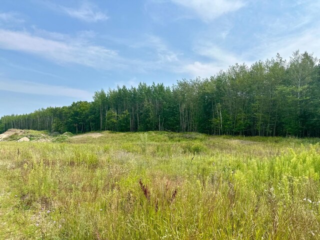 TBD-LOT8 Ottertail Rd NW, Walker MN, 56484 land for sale