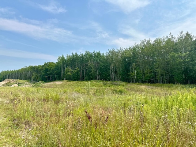 TBD-LOT8 Ottertail Rd NW, Walker MN, 56484 land for sale