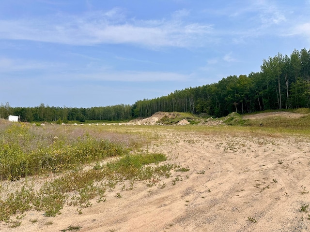 Listing photo 3 for TBD-LOT8 Ottertail Rd NW, Walker MN 56484