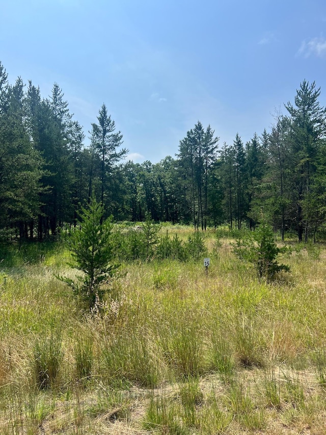 34007 Twin Oaks Loop, Motley MN, 56466 land for sale