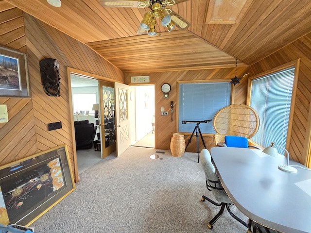 2017 Havana Rd, Owatonna, MN 55060 - photo 56