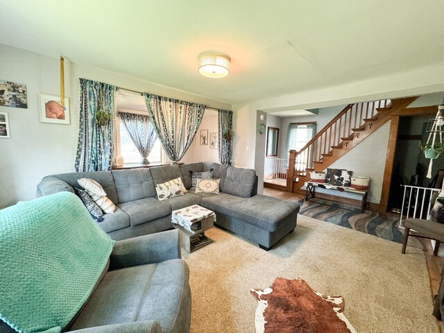 carpeted living room with a wealth of natural light