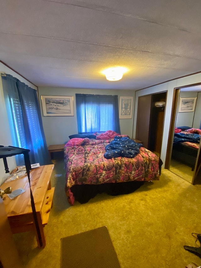 bedroom featuring carpet flooring and a textured ceiling