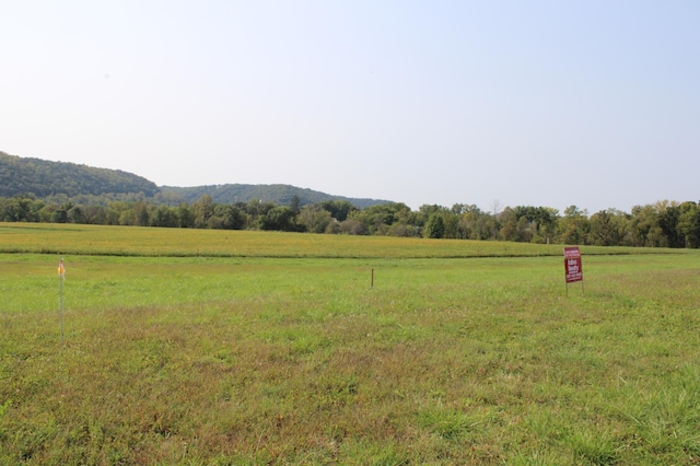 235 Pheasant Run, Rollingstone, MN 55969