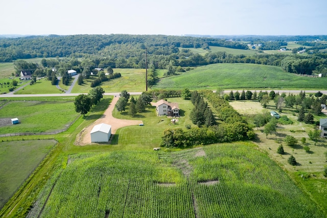overview of rural landscape