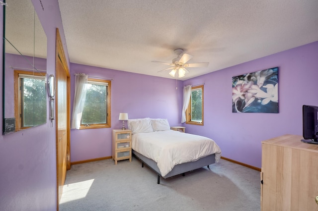 2230 260th St, Cedar Lake Twp, MN 55088 - photo 26