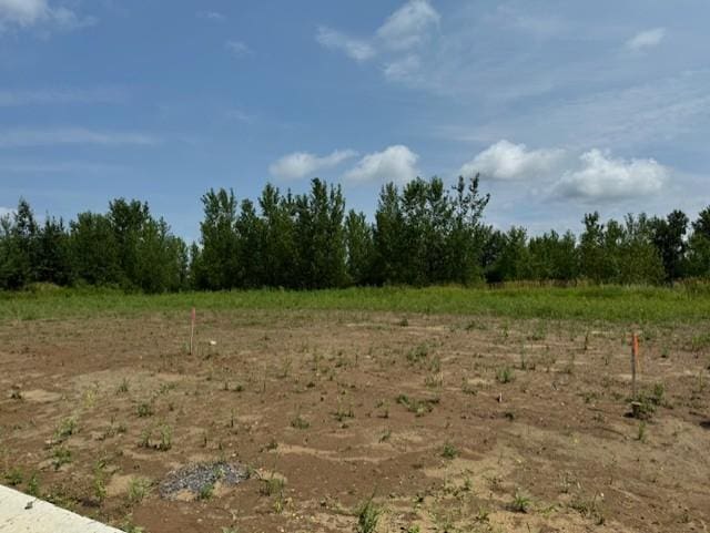 XXX3 Fitzgerald Ave, Rush City MN, 55069 land for sale