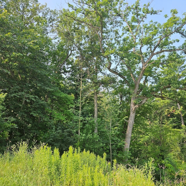 XXX Nelson Dr, Elmwood WI, 54767 land for sale