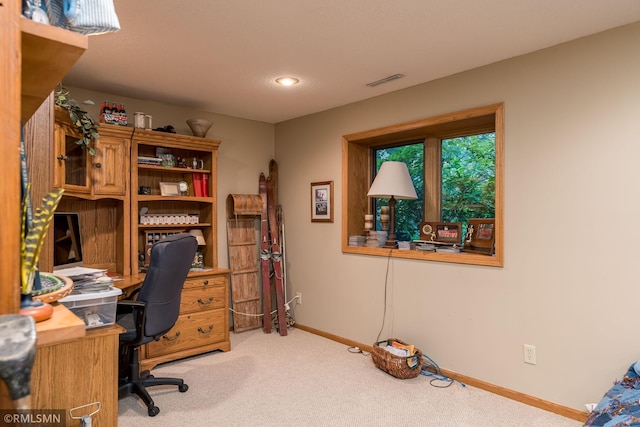 view of carpeted home office