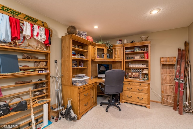 view of carpeted office space