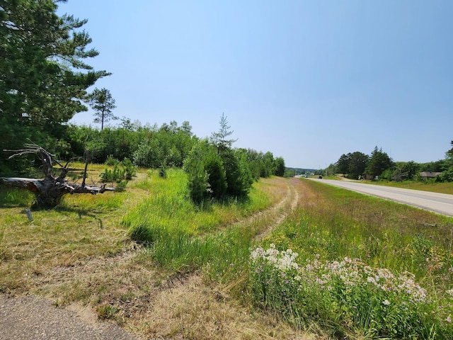 view of road with a rural view