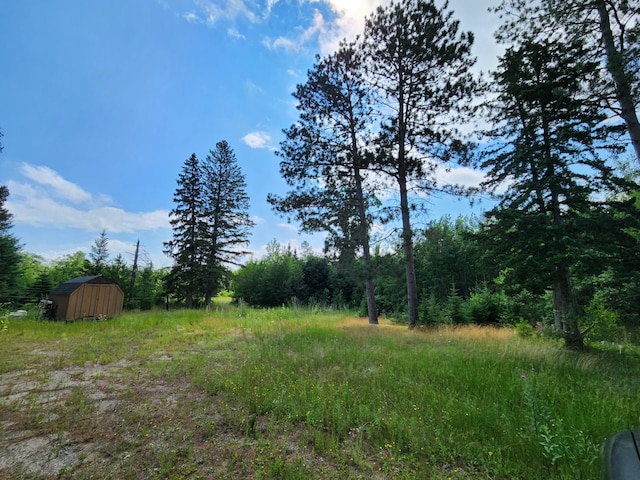 view of yard featuring a storage unit