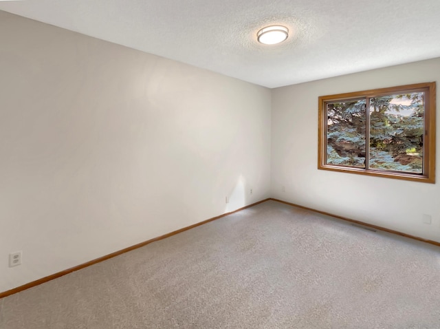 empty room featuring carpet floors and a textured ceiling