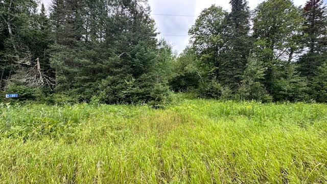 51801 Townhall Rd, Squaw Lake, MN 56681 - photo 6