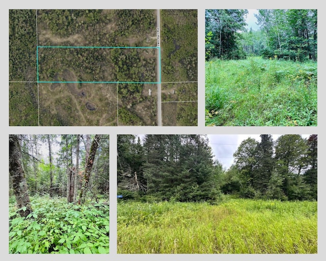 51801 Townhall Rd, Squaw Lake, MN 56681 - photo 1