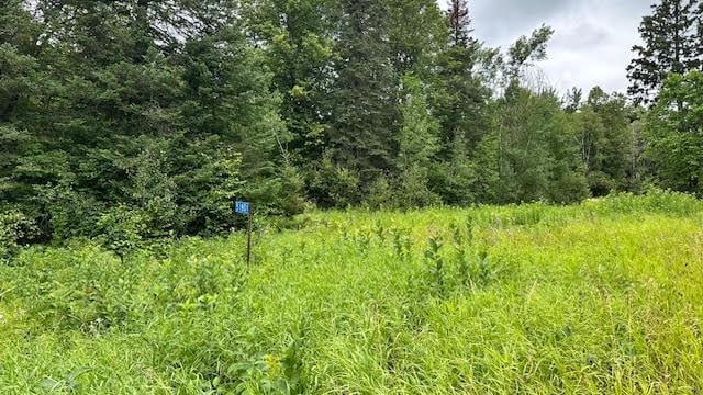 51801 Townhall Rd, Squaw Lake, MN 56681 - photo 2