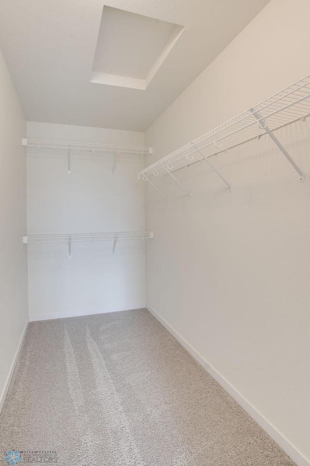 walk in closet with carpet flooring