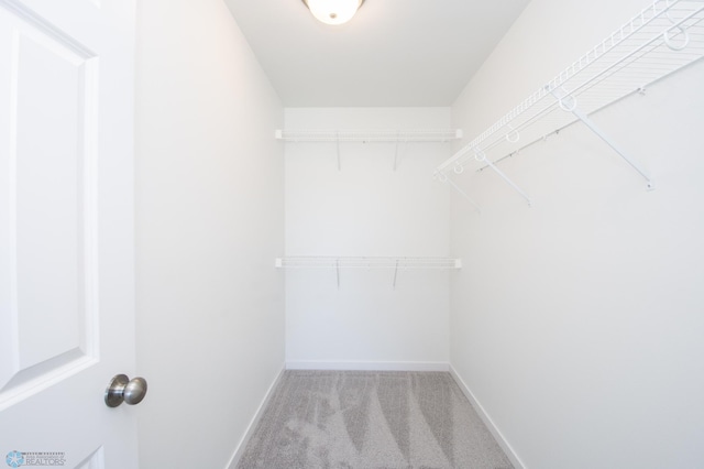 spacious closet featuring light colored carpet