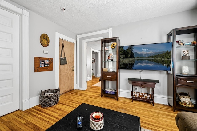 living room featuring hardwood / wood-style floors and a textured ceiling